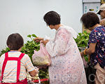 菜價又漲 台農委會：2日回穩
