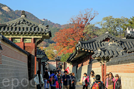 11月初的首尔景福宫美丽的晚秋枫景令人陶醉,心旷神怡。(全景林/大纪元)