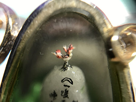迎接2017鸡年 台毫芒雕刻家雕1毫米小鸡