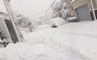 札幌11月大雪交通受阻 积雪创21年纪录