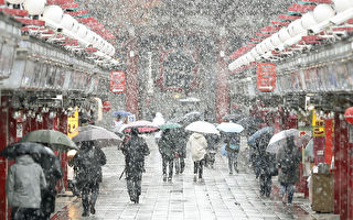 组图：54年不遇 日本东京11月降初雪