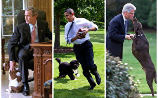 美國前任總統小布什、克林頓和現任總統奧巴馬（中）在白宮與愛犬一起。（Getty Images／大紀元合成）