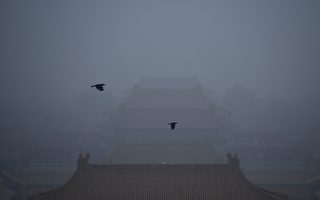 Two crows fly over the Forbidden City in Beijing on October 21, 2016. / AFP / WANG ZHAO        (Photo credit should read WANG ZHAO/AFP/Getty Images)