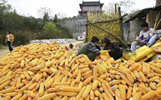 中國農產品生產消費數據 中美估算差異巨大