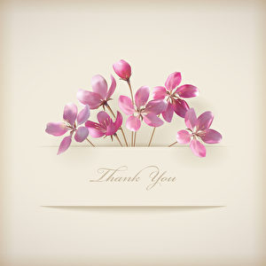 Floral spring vector \'Thank you\' pink flowers card Floral spring vector \'Thank you\' pink flowers card