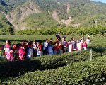 新发国小设有游学课程泡茶体验，学区就位于六龟区主要的制茶厂，群山环抱优游茶艺。（高市教育局提供）