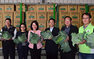 推动农产外销 30公吨高丽菜外销韩国