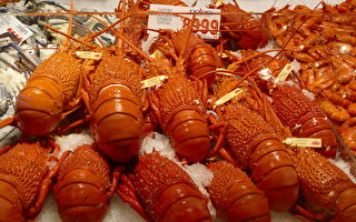 悉尼首届海鲜品尝节于9月24至25日举行