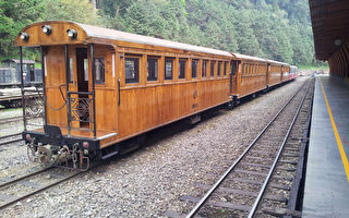 阿里山森林鐵路104週年 24日檜木車廂載客