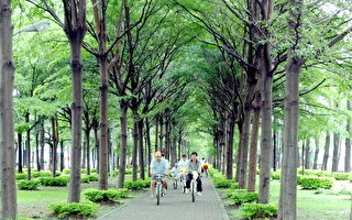 中市植樹造冊列管    以適地適木為原則