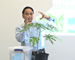 不用農藥消滅蟲害 相生相剋小訣竅