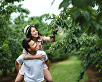 Cherry Hill櫻桃園——融化在幸福的甜蜜中