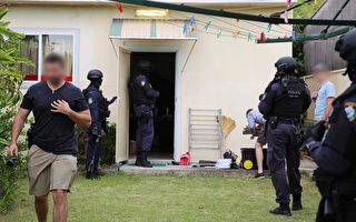 警方突袭悉尼多处住宅 查获市值250万大麻