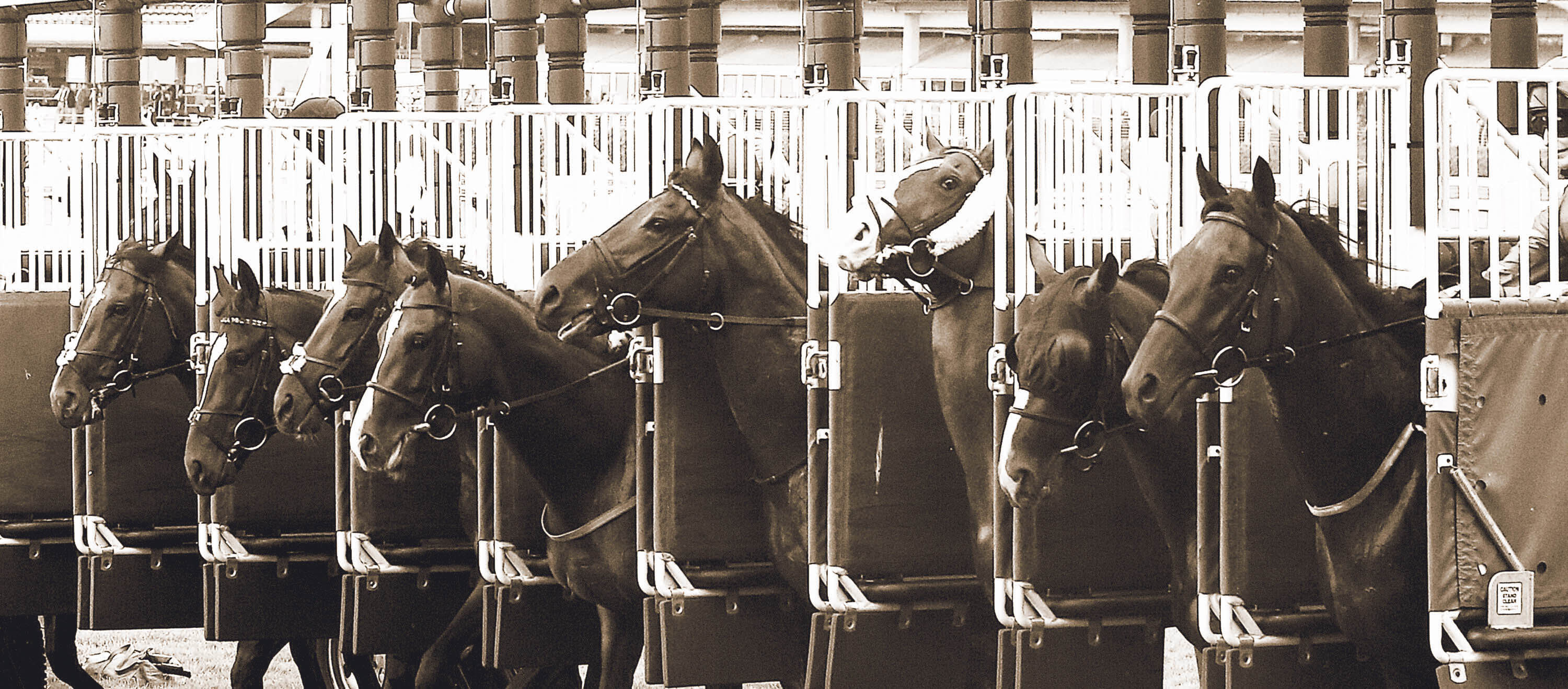 ASCOT, ENGLAND - JULY 26: (EDITORS NOTE: This images was processed using digital filters) A general view of the action as the horse start The Canisbay Bloodstock Handicap Stakes at Ascot racecourse on July 26, 2014 in Ascot, England. (Photo by Charlie Crowhurst/Getty Images for Ascot Racecourse)