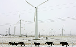 蘋果為何投資中國的風力發電機？