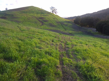 土地地址:131 Happy Valley Road, Pleasanton, CA 94566。近況現場實拍。(東灣房地產經紀黃淑儀Megan Wong提供)