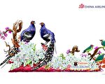 2017年玫瑰花車遊行 華航設計出爐