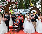神木剧场美如仙境 跃上舞台亲近香林神木