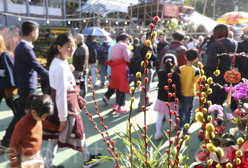 组图 迎新年香港维园年宵花市现人潮 中国新年 大纪元