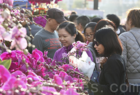 组图 迎新年香港维园年宵花市现人潮 中国新年 大纪元