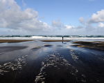 Karekare海灘(PAUL ELLIS/AFP/Getty Images)