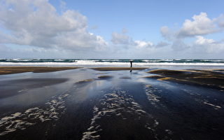 全球25个最佳海滩 奥克兰Karekare名列第二