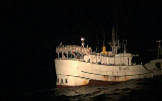 海巡查获40名越南偷渡客 历年最多
