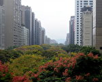 陸打肥咖資金回流 台今年看好商辦市場