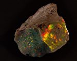 世界罕见的珍贵宝石：重达近1公斤、价值90万澳元的“澳大利亚之火”。（南澳博物馆提供）