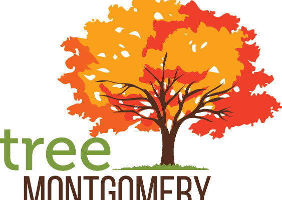 申請免費植樹 遮蔭環保