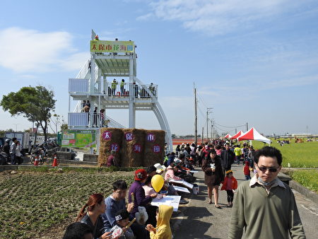 2017年第二屆太保花海節活動現場,特別搭建三樓高的景觀台,可以鳥瞰全區花海。(蔡上海/大紀元)