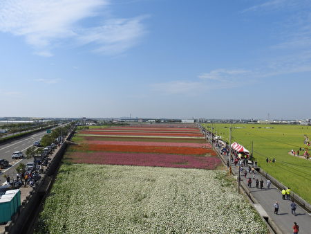 位在高鐵大道台18線3K旁的太保彩虹花道,既浪漫又迷人。(蔡上海/大紀元)