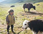 【食‧文化】藏人的生活艺术。（新唐人提供）