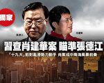 【独家】习近平查肖建华案 瞄准张德江