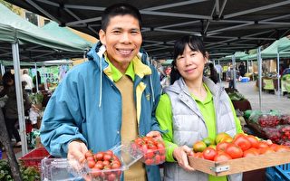 微風市集首場「社區友好日」，將以「番茄家族」為主題，由農友分享有機種植過程、不同品種的特色，現場並示範番茄料理和大家分享。（高市農業局提供）