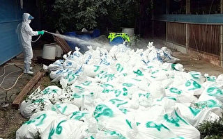 禽流感威胁未解除 台多县市传出疫情