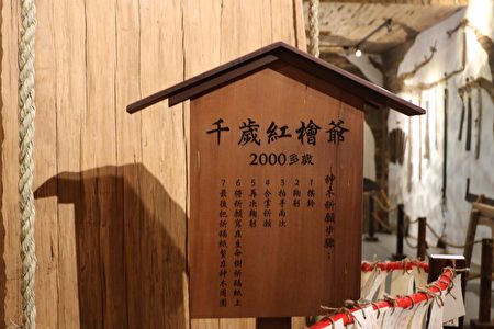 顺益木业“爱木村”观光工厂内的“镇厂之宝”，是2千岁的红桧爷爷，是半世纪前制材工厂留下的。（李撷璎／大纪元）