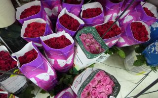 情人节将至 玫瑰开启涨价模式