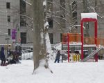 大雪後 華埠哥倫布公園成遊樂場