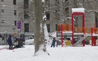 大雪后 华埠哥伦布公园成游乐场