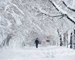 阿富汗连降3天大雪 雪崩致逾百人丧生