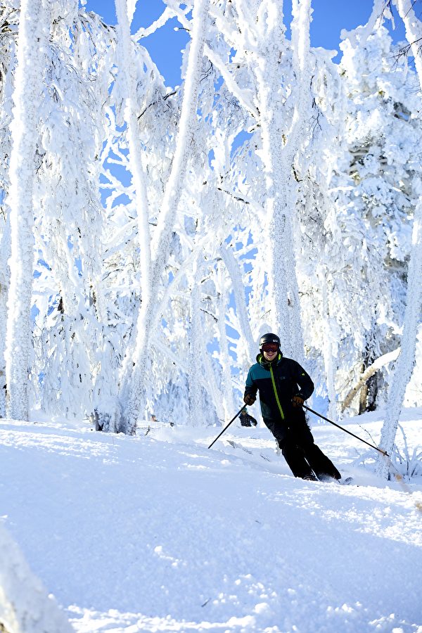 在银白的树林中穿行滑雪，享受拥抱自然的乐趣。（Okemo滑雪渡假村提供）
