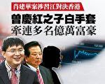 曾庆红之子白手套 牵连多名亿万富豪