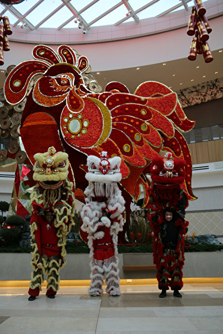 帝国舞狮队的3头红、黄、白色的狮子，向大华府华人拜年。（大纪元／萧桐） 
