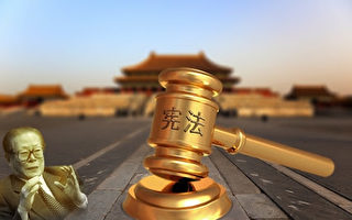 哈尔滨女工程师控告江泽民 曾挺孕肚进京上访