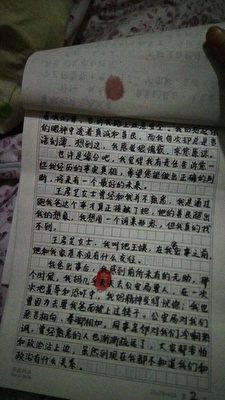 大陸一位法輪功學員的孩子李宗澤寫給法官的親筆信（大紀元）