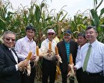 農委會投入12億元 推動六大友善農耕肥料補助