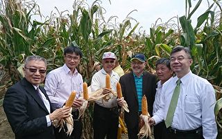 農委會投入12億元 推動六大友善農耕肥料補助