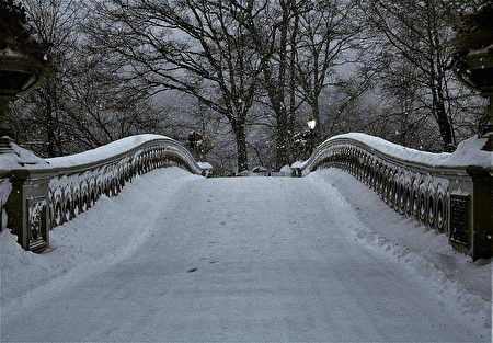 今早中央公园雪景。（John Burnett 提供）
