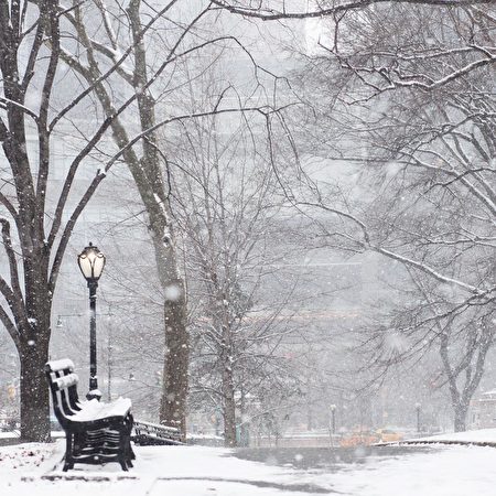 中央公园雪景。（Jess Epstein 提供）
